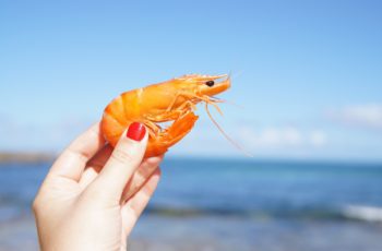 is-shrimp-a-fish