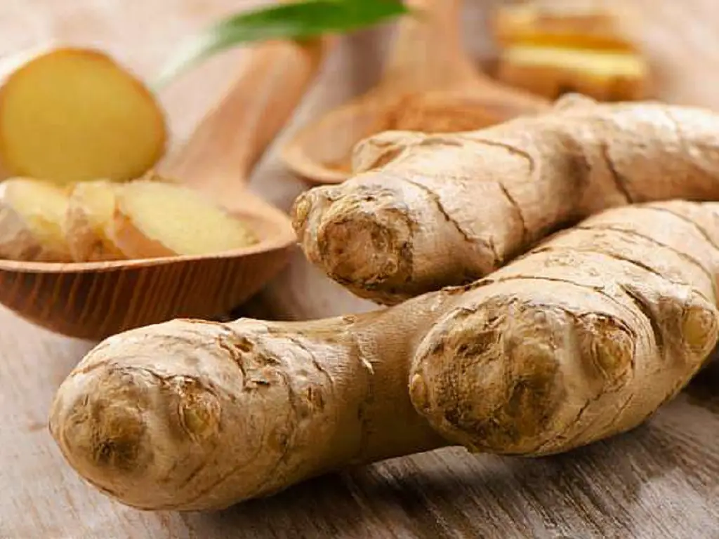 is-ginger-a-fruit-or-a-vegetable