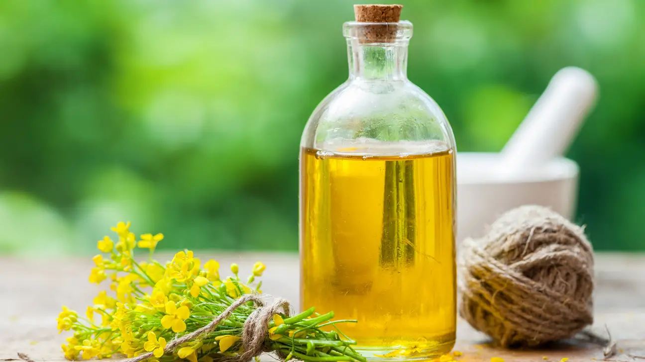 Can You Mix Canola Oil and Vegetable Oil? (Answered)