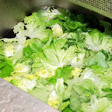 Can I clean bad lettuce?