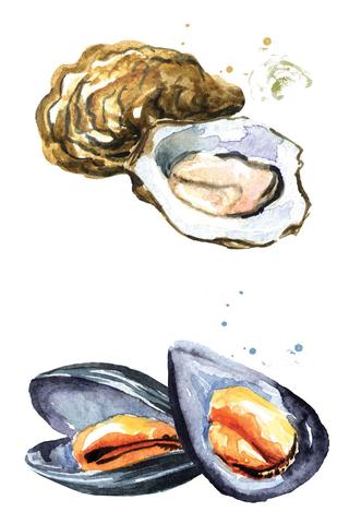 Mussels vs Oysters