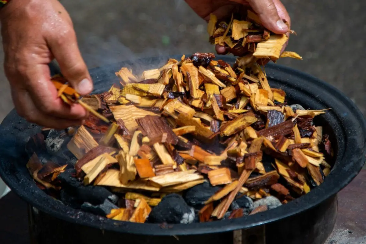 Do You Need to Soak Wood Chips for Masterbuilt Electric Smoker?