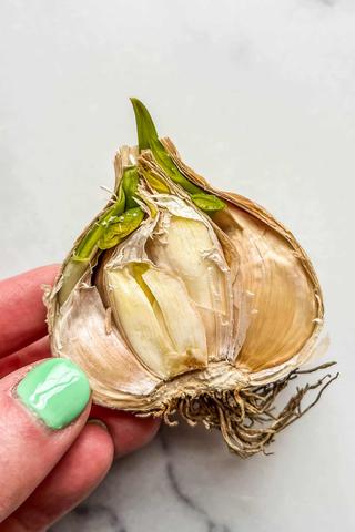 What Are The Brown Spots on Garlic?