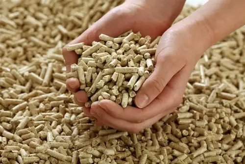 Can You Use Wood Pellets in an Electric Smoker?