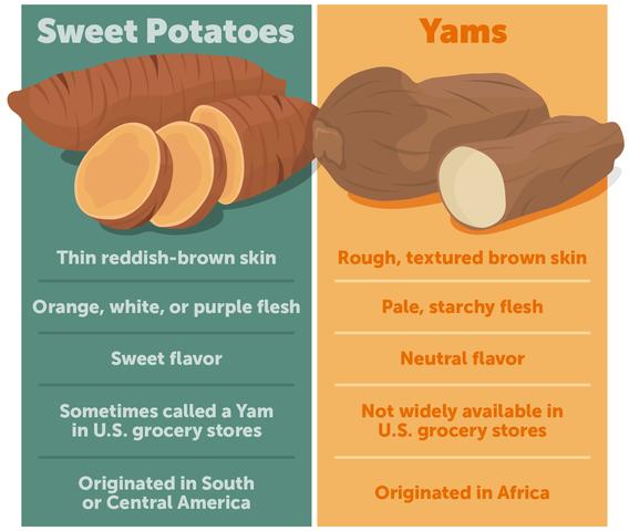 What Is the Difference Between A Sweet Potato and Yam?
