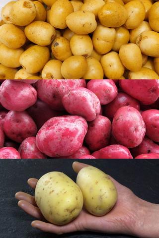 How Many Potatoes Are in a Pound?