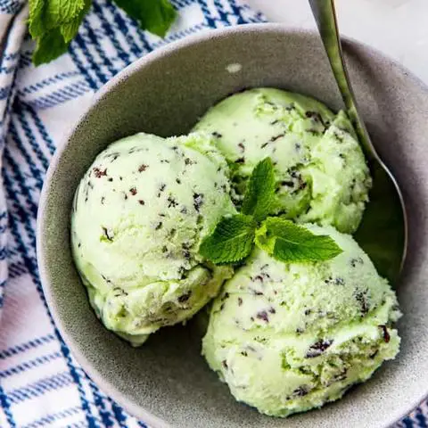 Helpful Tips For The Best Mint Chocolate Chip Ice Cream