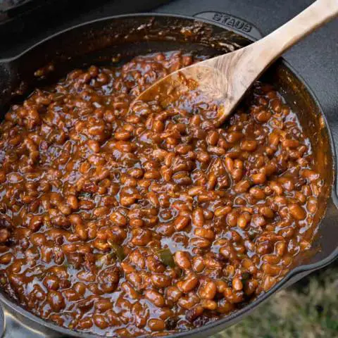 WHAT TYPE OF WOOD SHOULD I USE ON THE SMOKER FOR PELLET GRILL SMOKED BAKED BEANS?