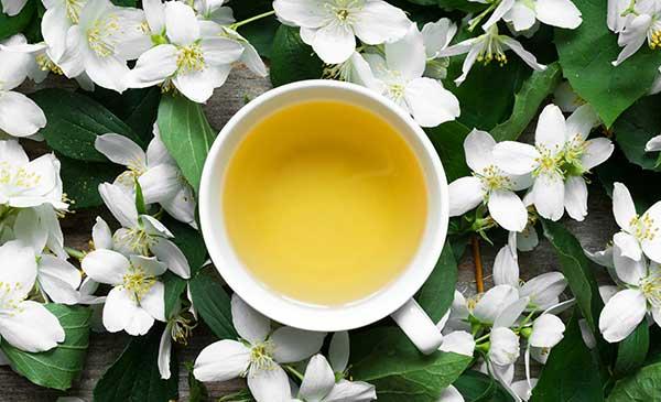 Unlocking the Health Benefits of Caffeinated Jasmine Green Tea