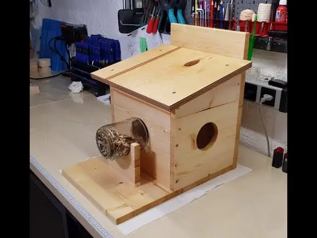 How to Make a Squirrel House