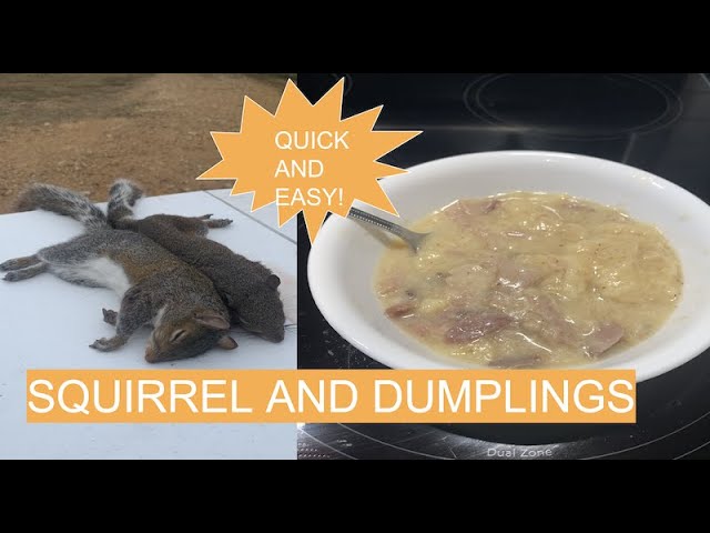 How to Make Squirrel Dumplings