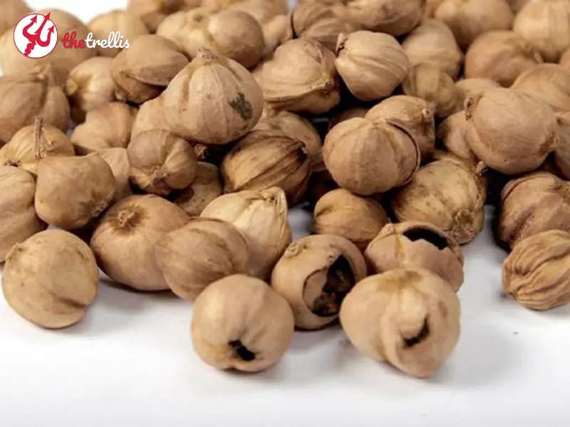 What does white cardamom taste like?