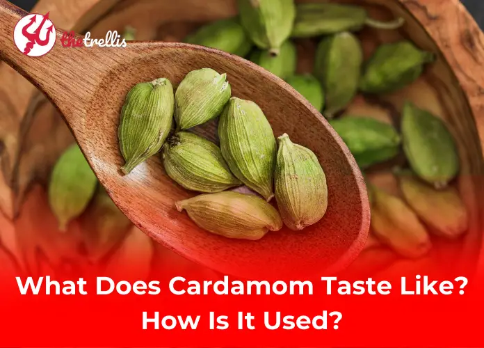 What does cardamom taste like? A detailed guide