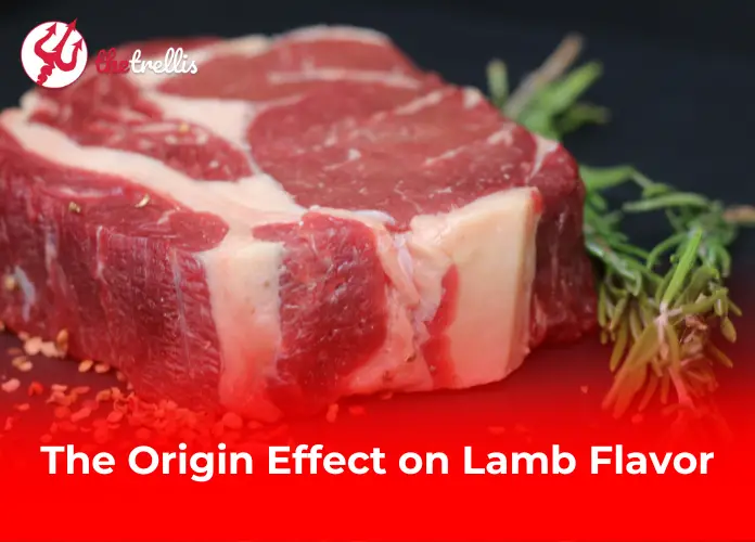 The Origin Effect on Lamb Flavor