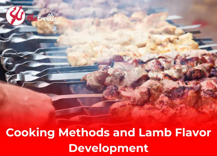 Cooking Methods and Lamb Flavor Development