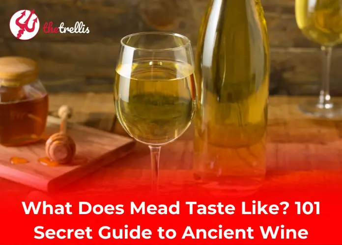 What Does Mead Taste Like? 101 Secret Guide to Ancient Wine