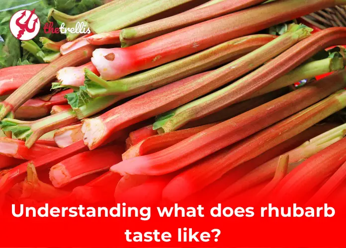 What does rhubarb taste like?