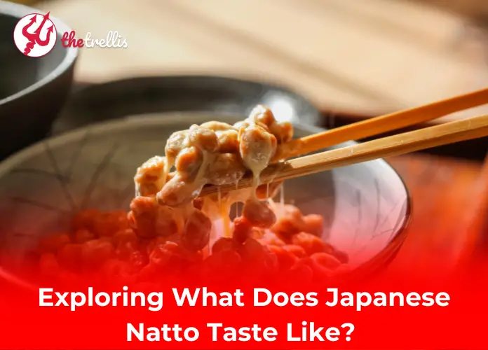 Exploring What Does Japanese Natto Taste Like? 