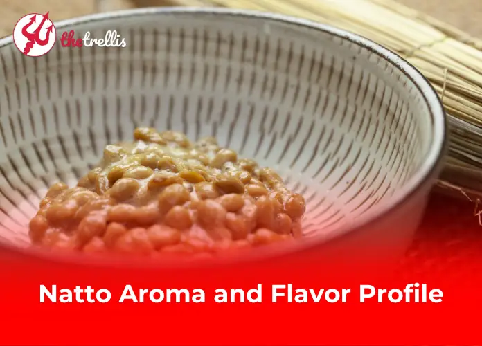 Natto Aroma and Flavor Profile 