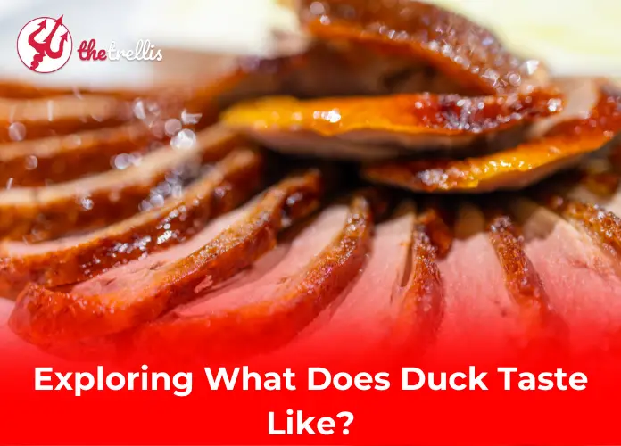 Exploring What Does Duck Taste Like?