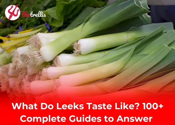 What Do Leeks Taste Like? Complete Guides to Answer