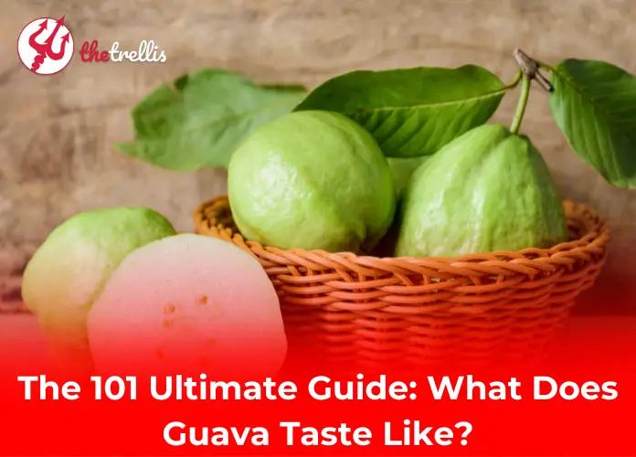 The 101 Ultimate Guide: What Does Guava Taste Like?