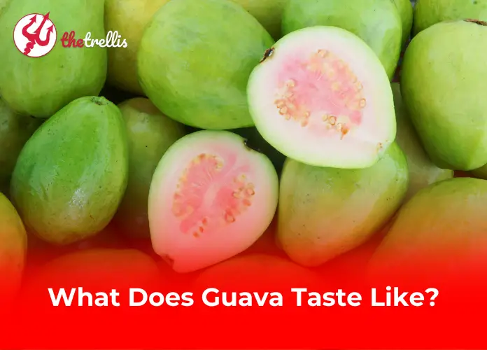 What Does Guava Taste Like?