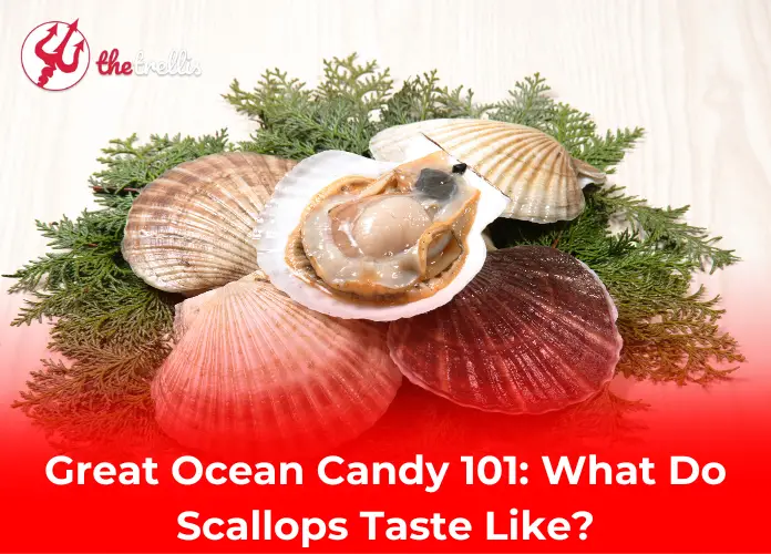 What Do Scallops Taste Like?