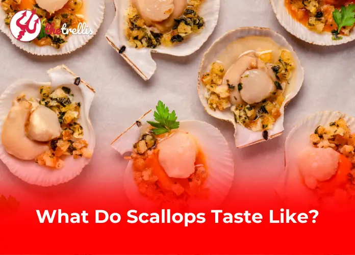 What Do Scallops Taste Like?