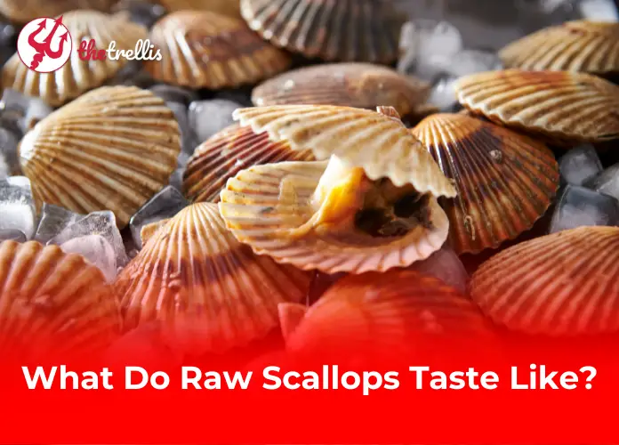 What Do Raw Scallops Taste Like?