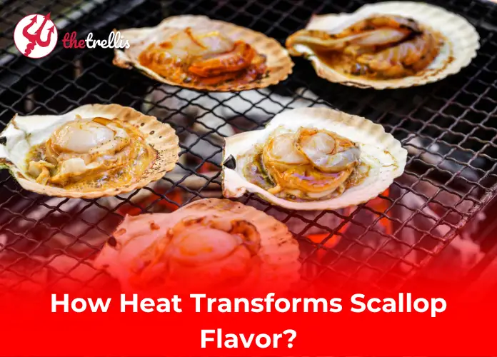 How Heat Transforms Scallop Flavor?