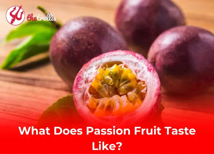 What Does Passion Fruit Taste Like?