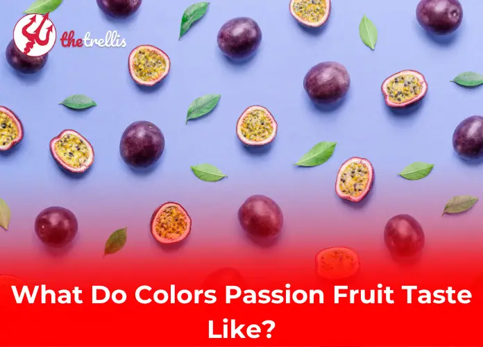 What Do Colors Passion Fruit Taste Like?