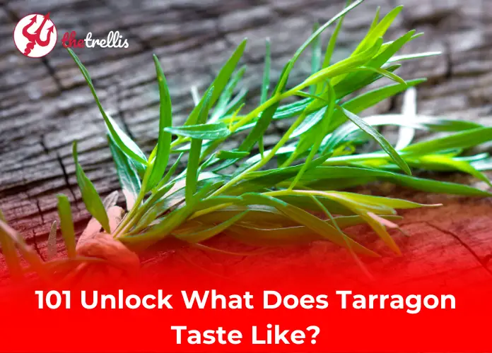 101 Unlock What Does Tarragon Taste Like?