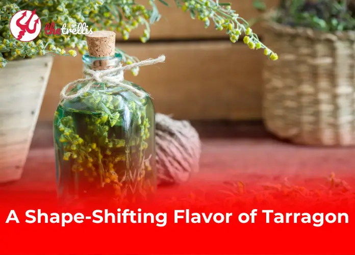 A Shape-Shifting Flavor of Tarragon 