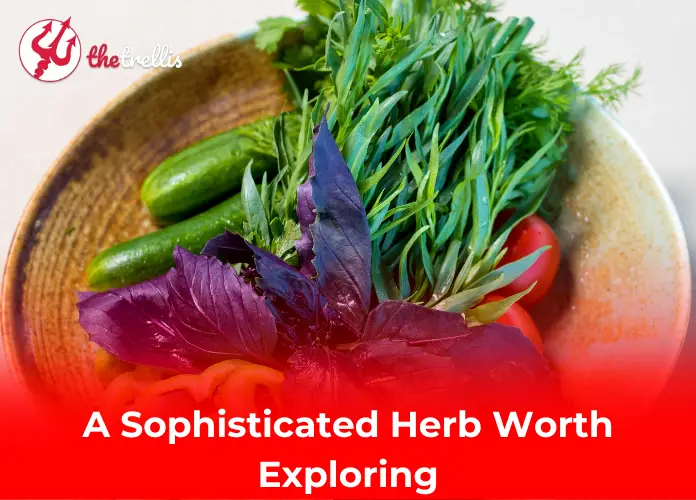 A Sophisticated Herb Worth Exploring