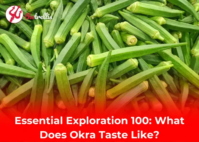 Essential Exploration 100: What Does Okra Taste Like?