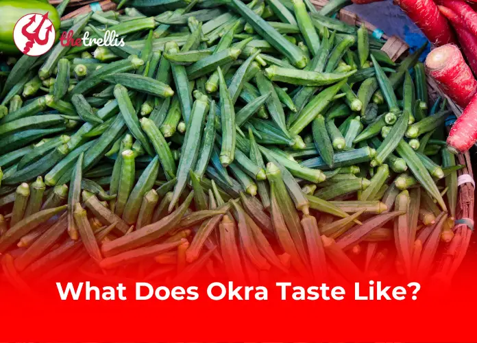 What Does Okra Taste Like?