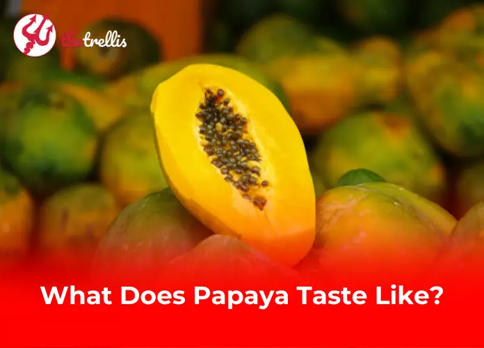 What Does Papaya Taste Like?