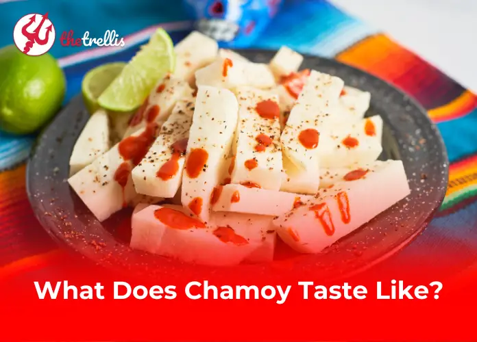 What Does Chamoy Taste Like?