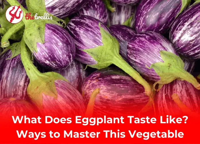 What does Eggplant taste like? A detailed guide