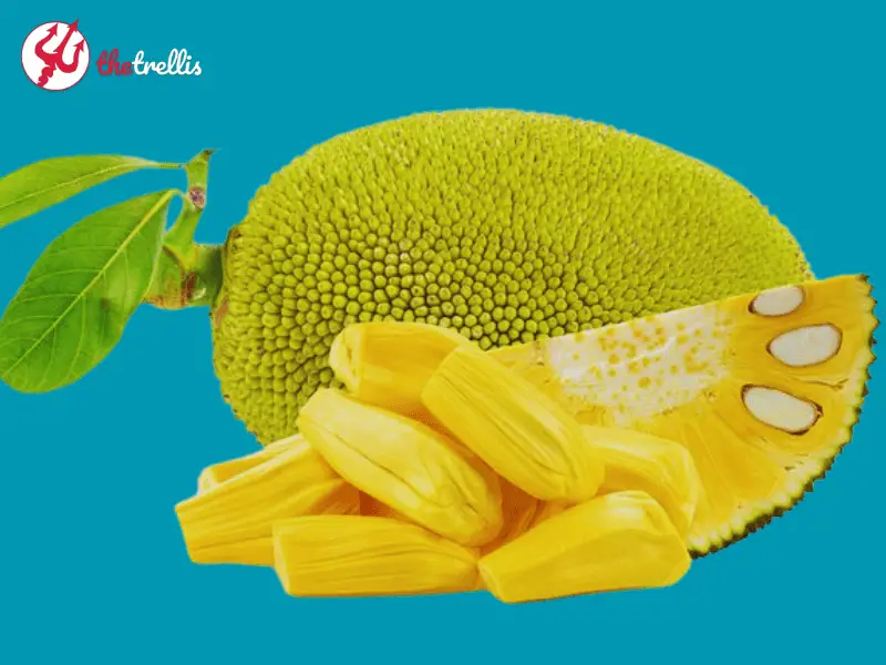 What does Jackfruit taste like?