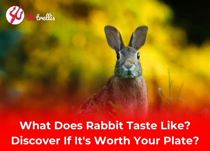 What Does Rabbit Taste Like? Discover If It’s Worth Your Plate?