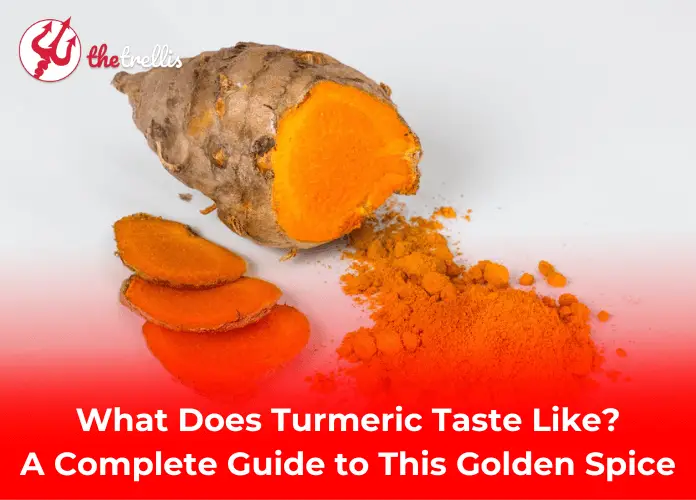 What Does Turmeric Taste Like? A Complete Guide to This Golden Spice