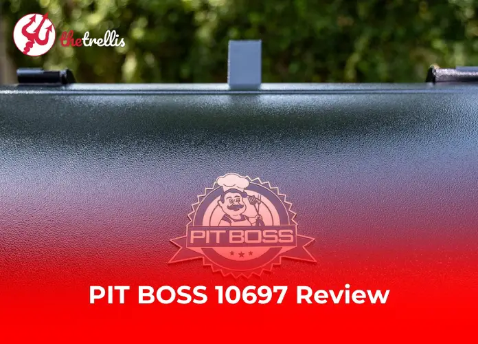 PIT BOSS 10697 Review