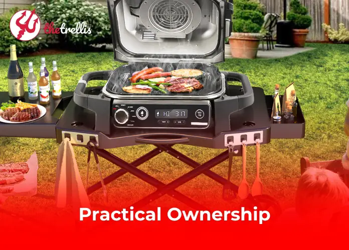 Practical Ownership