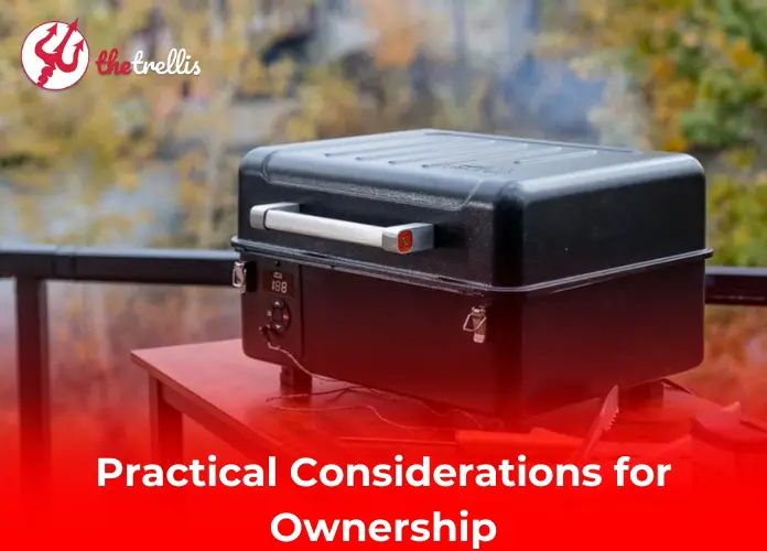 Practical Considerations for Ownership