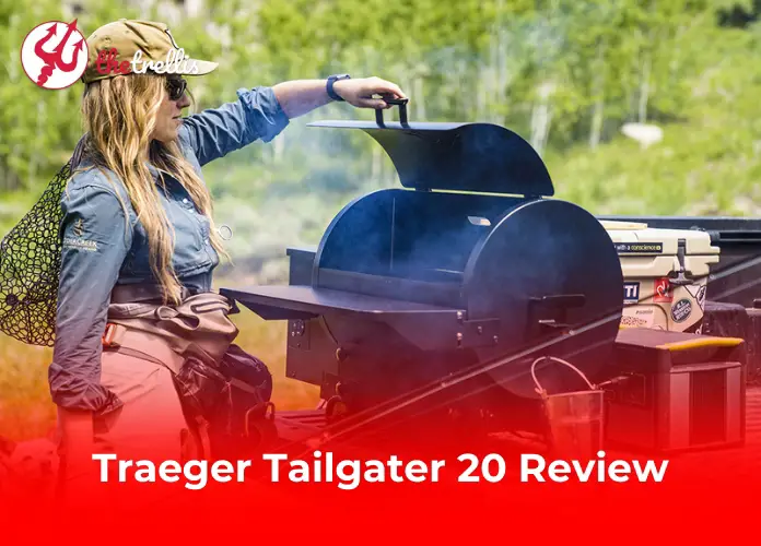 Traeger Tailgater 20 Review