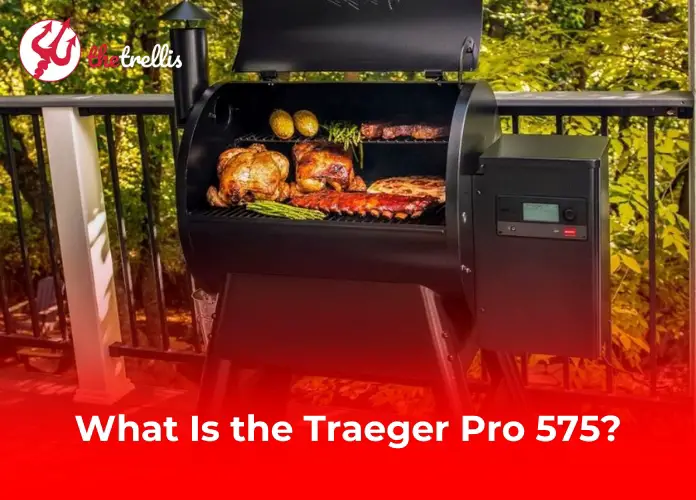 What Is the Traeger Pro 575?