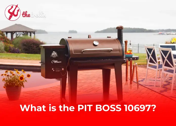 What is the PIT BOSS 10697?